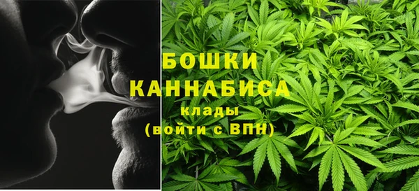 ПСИЛОЦИБИНОВЫЕ ГРИБЫ Алексин