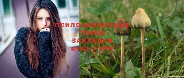 гидропоника Алексеевка