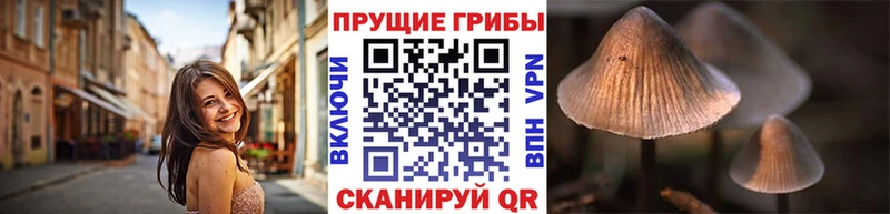 mega tor  Татарск  Псилоцибиновые грибы ЛСД 